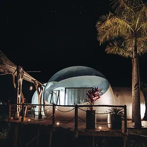 Land Bubble Glamping By Mint Luxury tent Cabarete